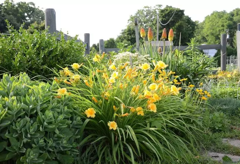 Hotelli Red Cardinal Bed And Breakfast