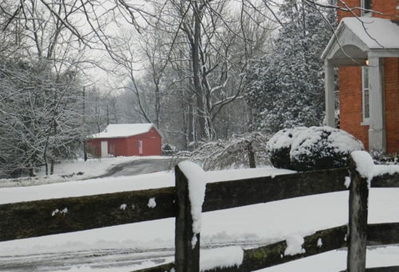 فندق Red Cardinal Bed And Breakfast
