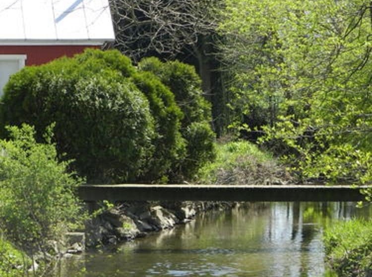 فندق Red Cardinal Bed And Breakfast