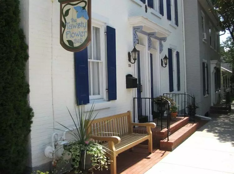 Hotelli Tawsty Flower   Haines Suites