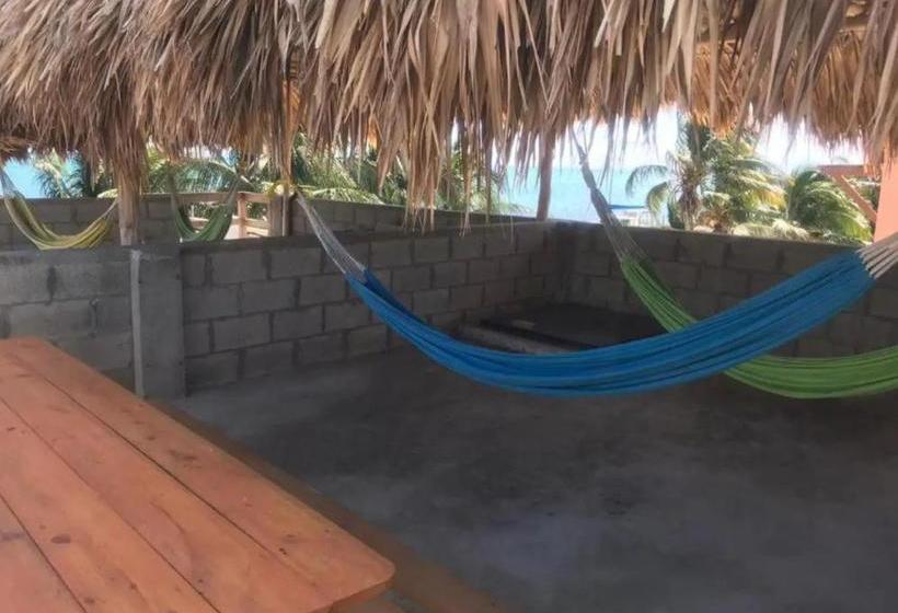 هتل The Beach Club Resort At Caye Caulker