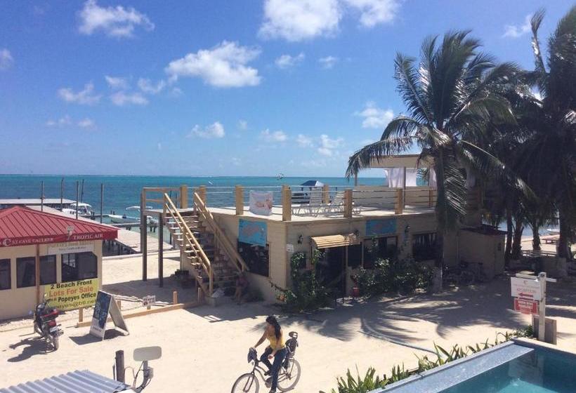 هتل The Beach Club Resort At Caye Caulker
