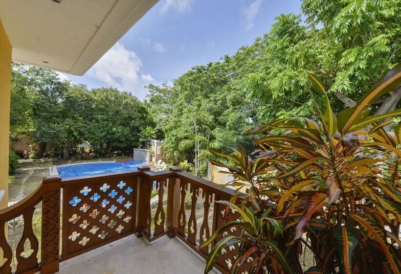 Casa Las Palmas Hotel Boutique