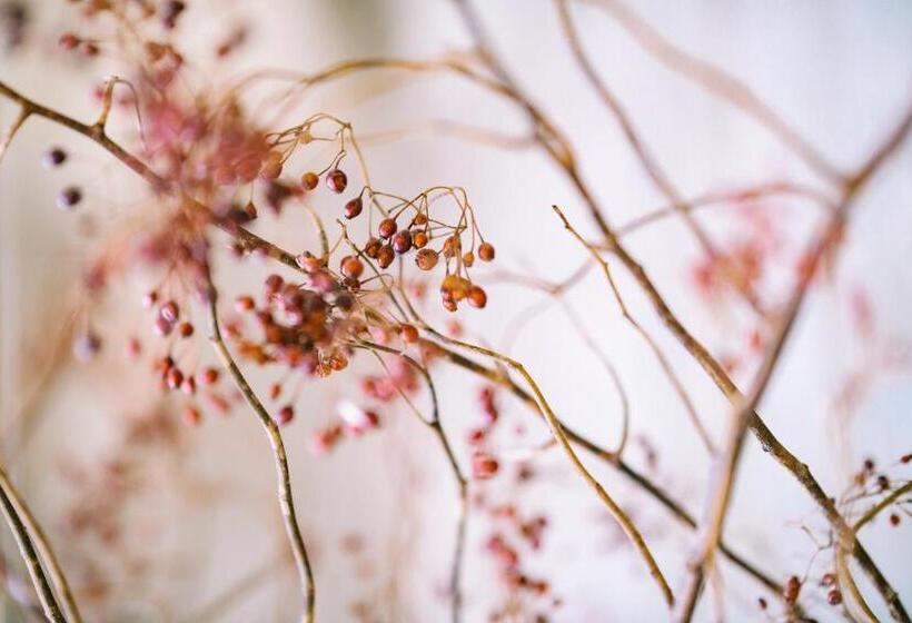 Отель Guesthouse Rico