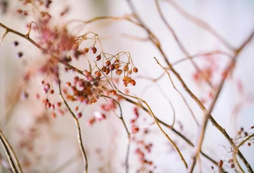 ホテル Guesthouse Rico