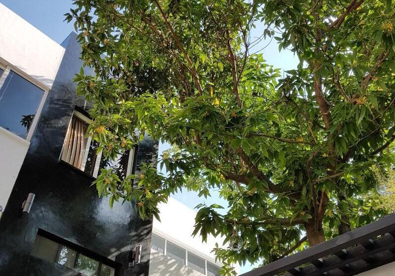 Kaleo Hotel Boutique