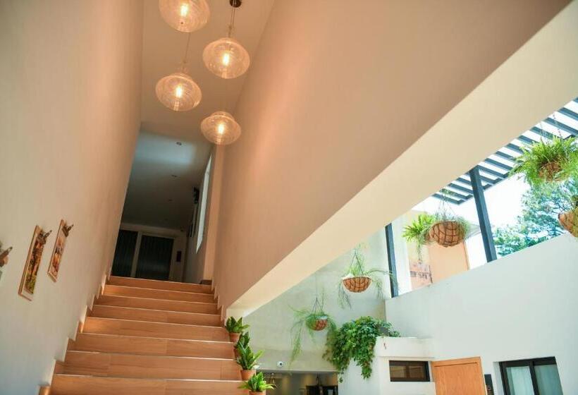 Kaleo Hotel Boutique