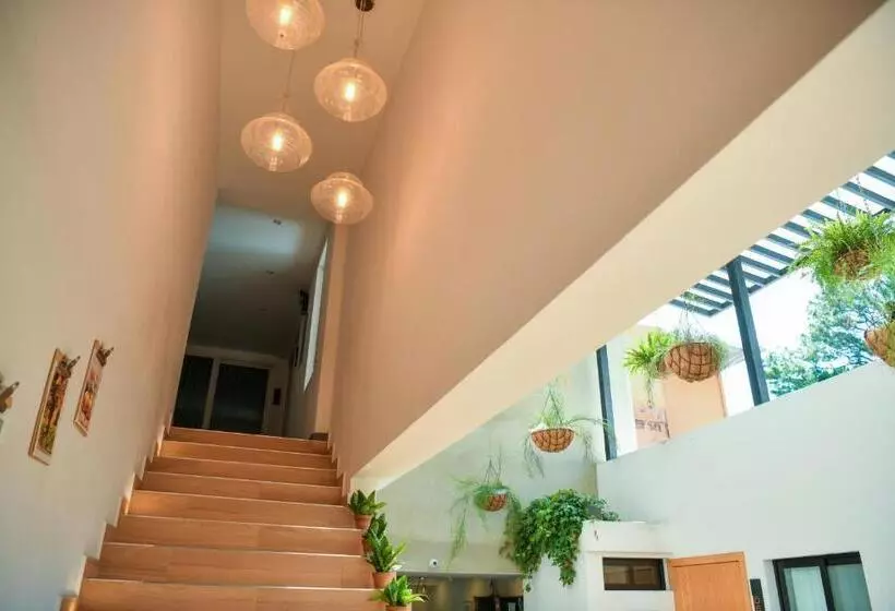 Kaleo Hotel Boutique