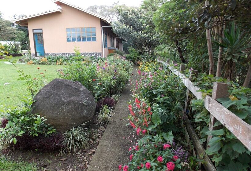 فندق Las Orquideas