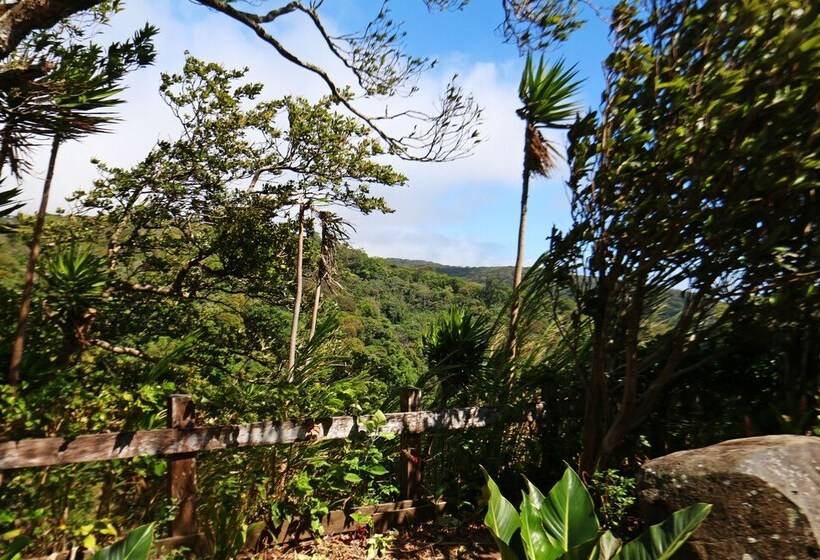 فندق Las Orquideas