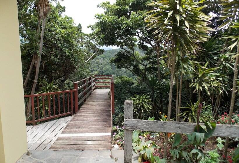 فندق Las Orquideas