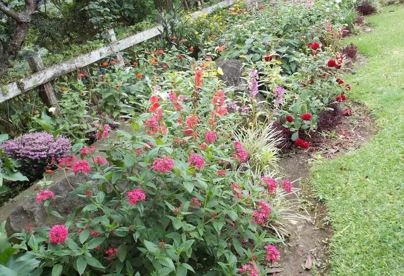 هتل Las Orquideas