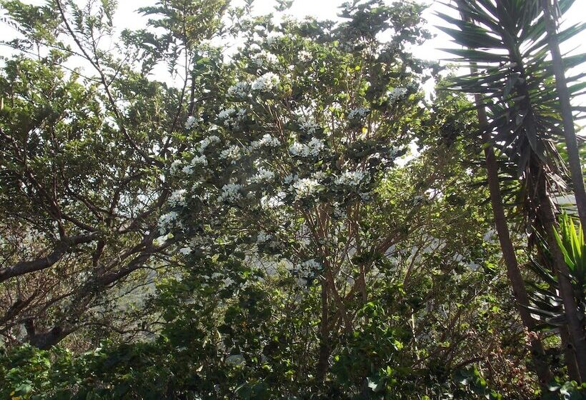 فندق Las Orquideas