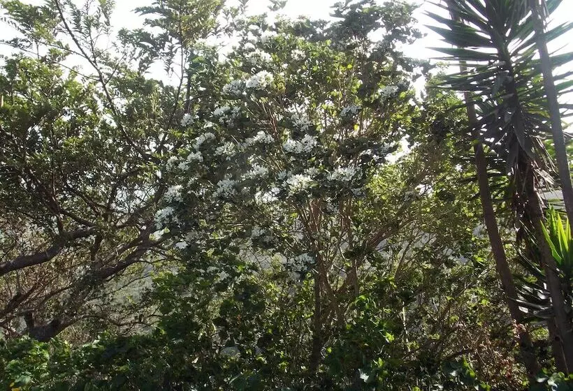 هتل Las Orquideas