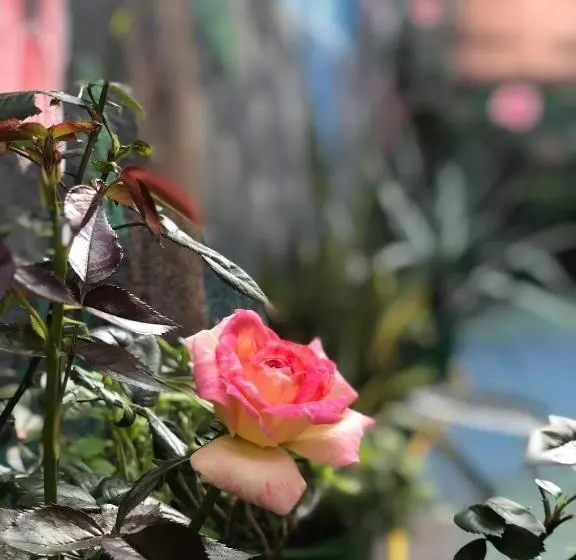 Hotelli Zouglas App Guesthouse