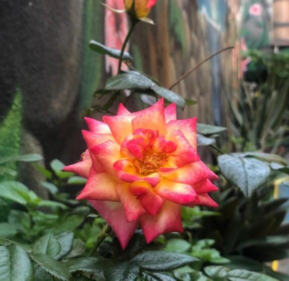 Hotel Zouglas App Guesthouse