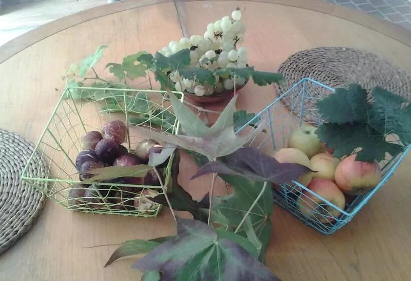 هتل Au Vélo Dans L Arbre