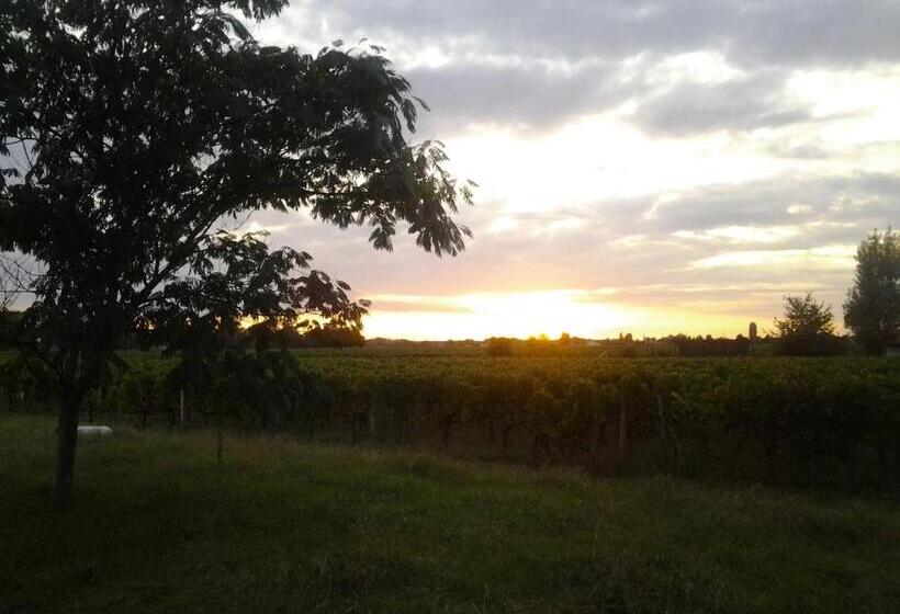酒店 Au Vélo Dans L Arbre