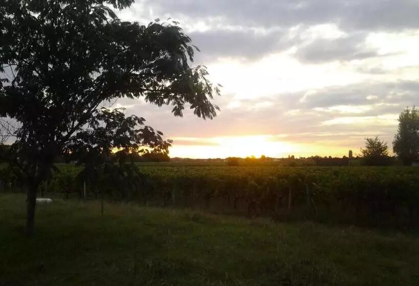 هتل Au Vélo Dans L Arbre