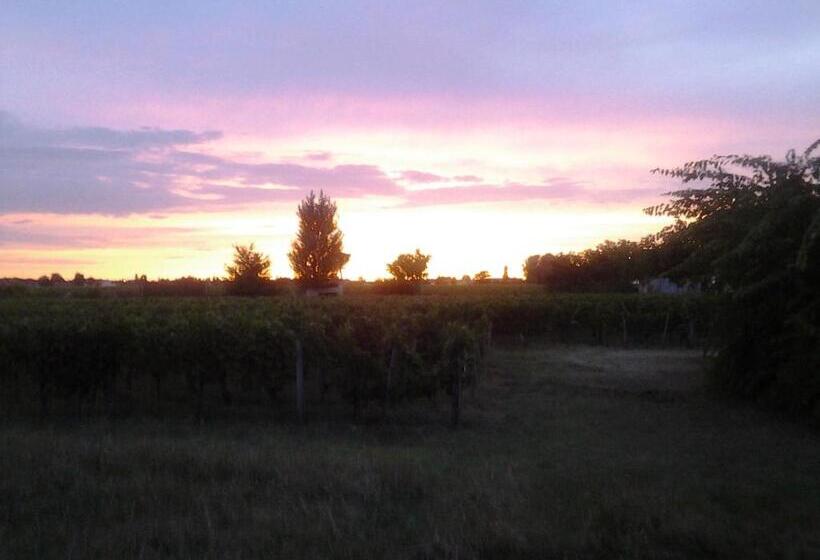 酒店 Au Vélo Dans L Arbre