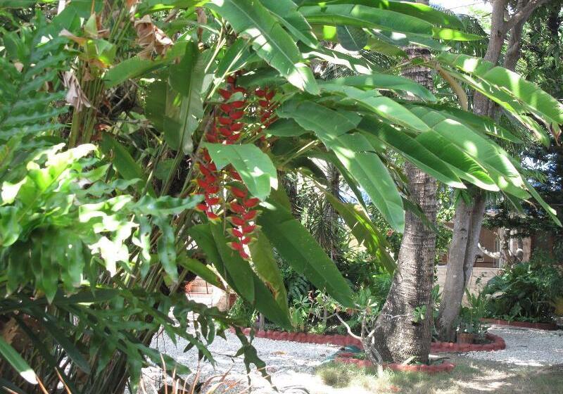 Hotel Bamboo Paradise Beach Resort