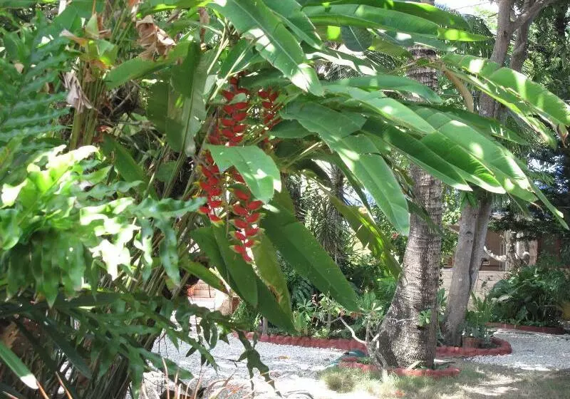 ホテル Bamboo Paradise Beach Resort