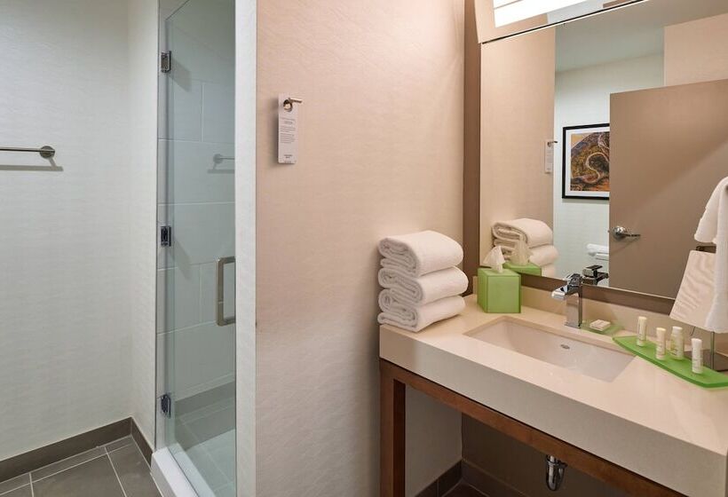 فندق Courtyard By Marriott El Paso Downtown/convention Center