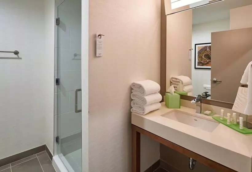 ホテル Courtyard By Marriott El Paso Downtown/convention Center