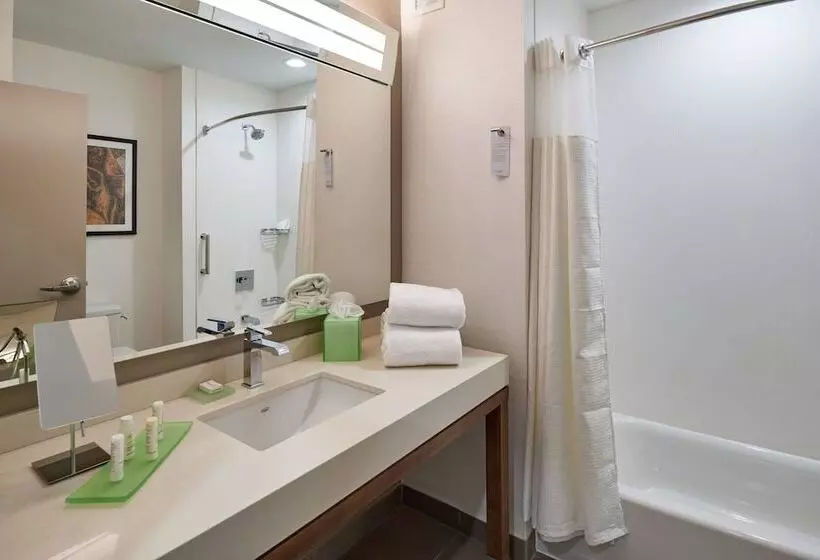 ホテル Courtyard By Marriott El Paso Downtown/convention Center