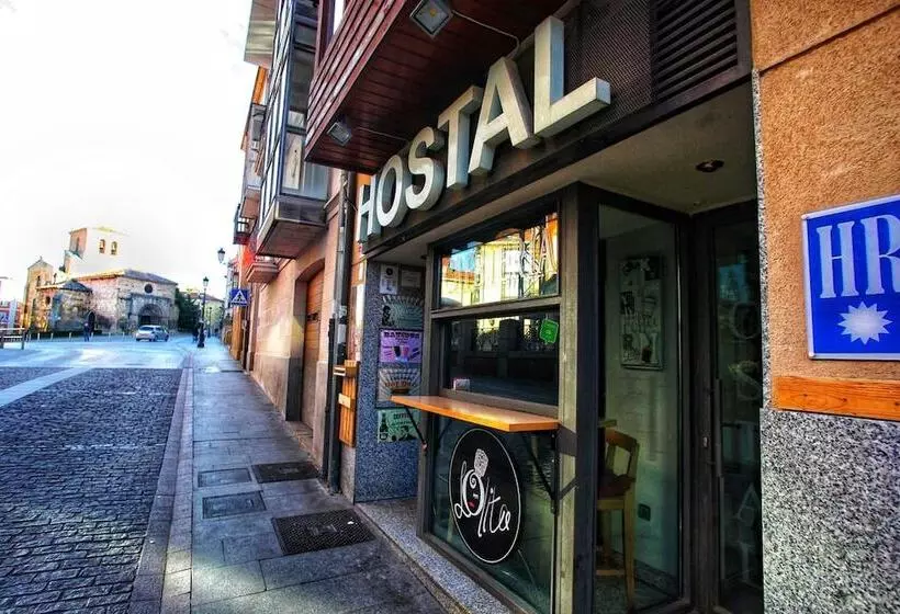 هتل Hostal Caballeros