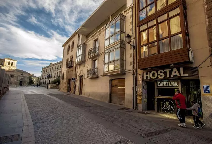هتل Hostal Caballeros