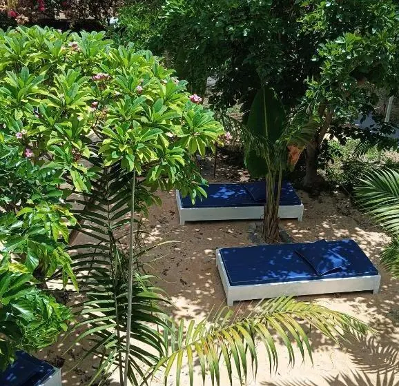 Exotica Sense