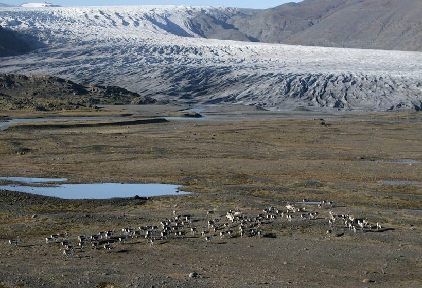 هتل Arnanes Country