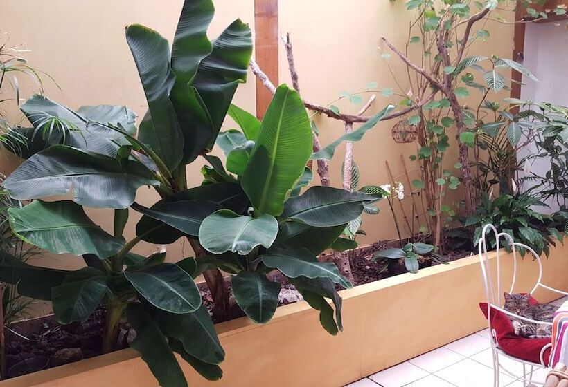 호텔 Dolphin's B&b