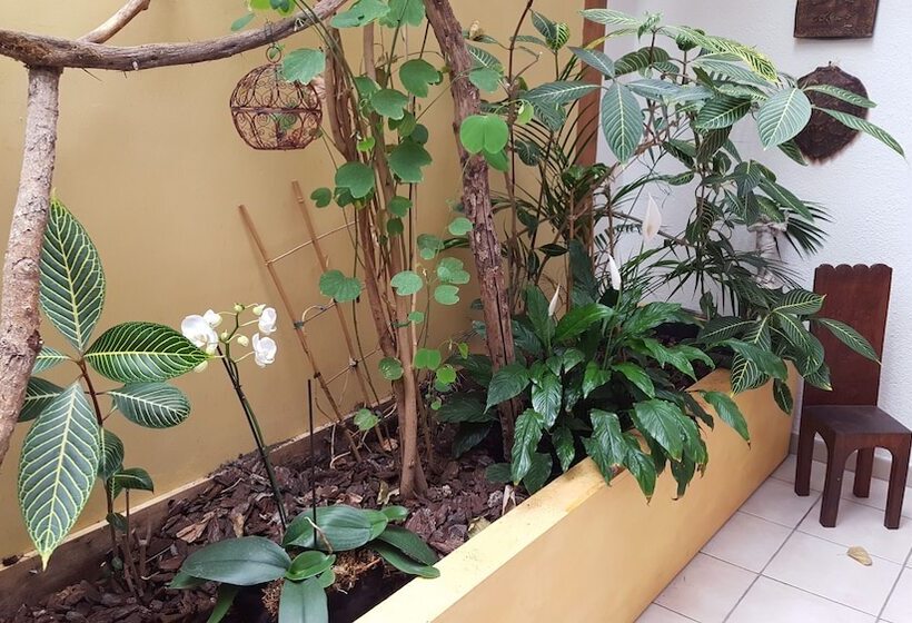 호텔 Dolphin's B&b