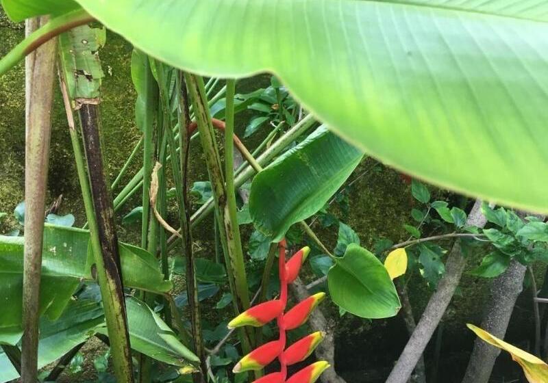 ホテル Gili Nyepi