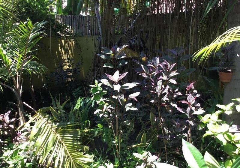 ホテル Gili Nyepi