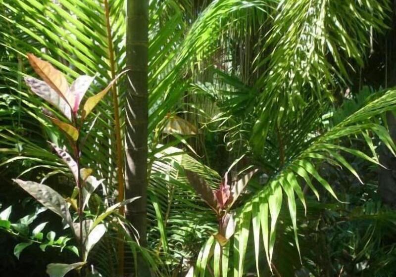 ホテル Gili Nyepi