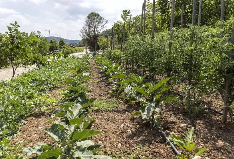 Hotelli Ktima Bellou