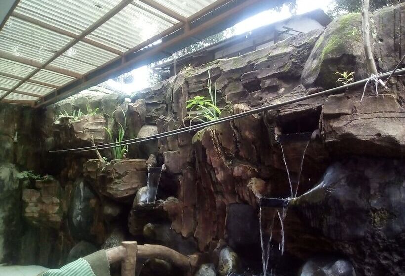 בית מלון כפרי Simply Homy Pasteur