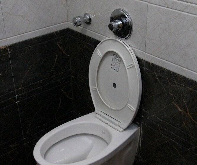 בית מלון כפרי Swaraj The Goan Dream