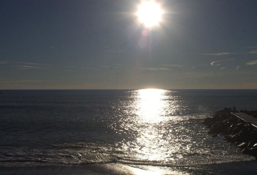 Hotel Affittacamere Levantomare