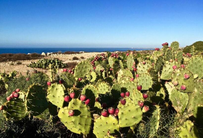 Szálloda B&b Cinisi Mare E Monti