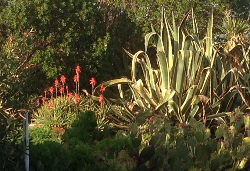 Отель Le Stanze Sul Mare