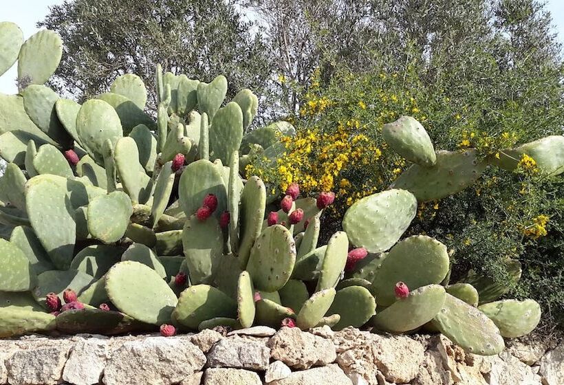 فندق Masseria L Antico Frantoio