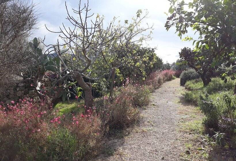 فندق Masseria L Antico Frantoio