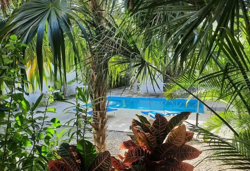 ホテル Casa Del Mar Tulum
