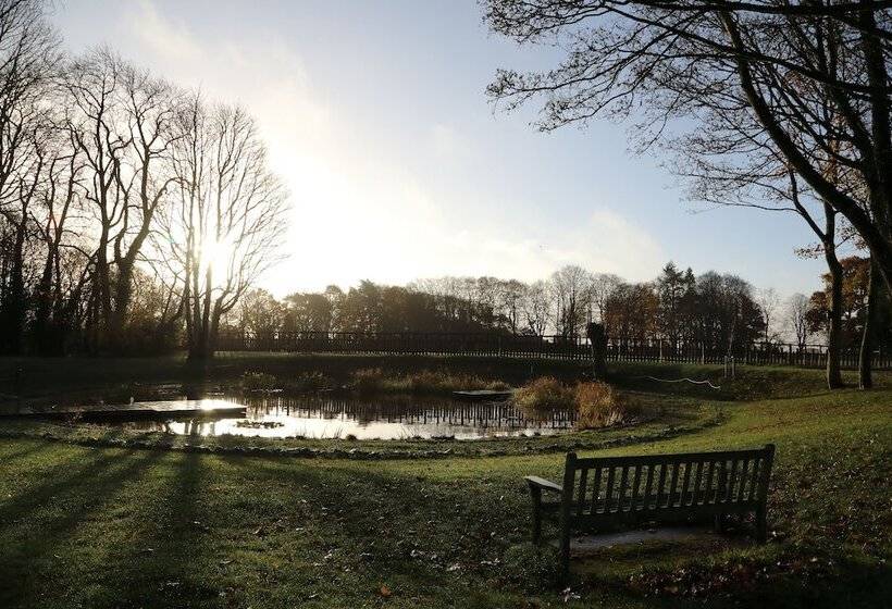 فندق The Jack Russell