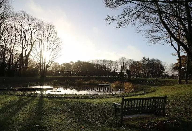 Hotelli The Jack Russell