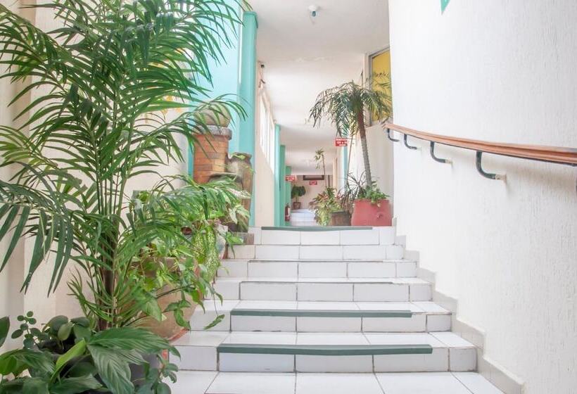 فندق Y Suites Continental